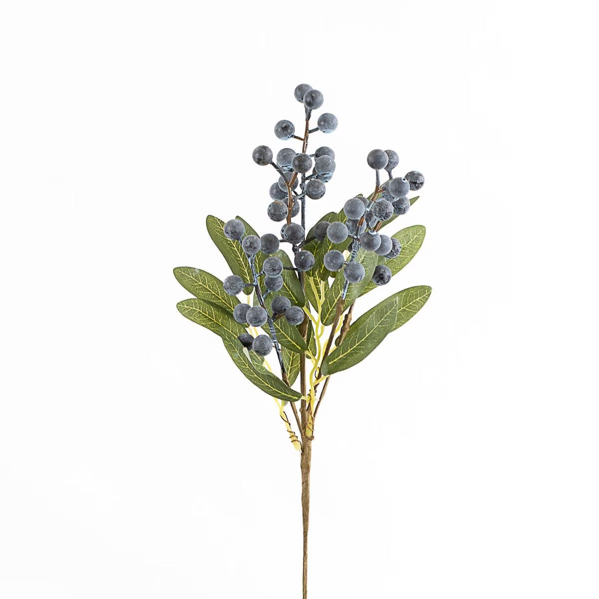 Winter Berry Stem