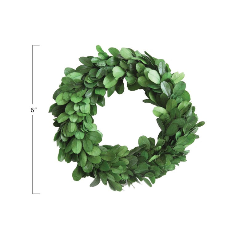 6” Round Preserved Boxwood Wreath with small green leaves, 6 inches in diameter.