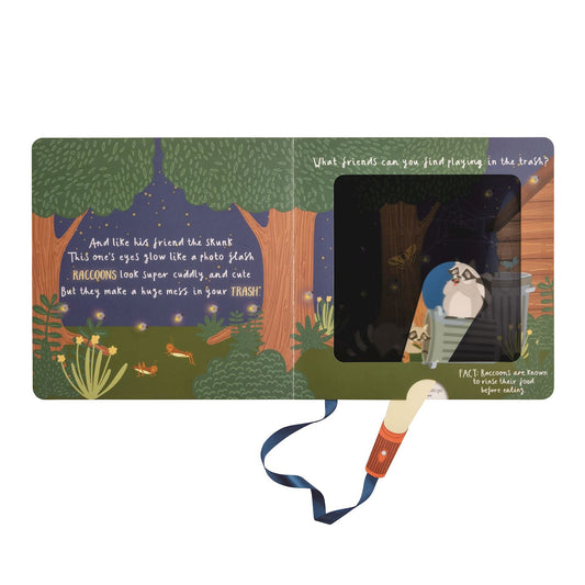 Nighttime Animals Magical Flashlight Book