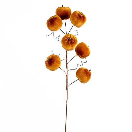 Pumpkin Stem | 2 Colors