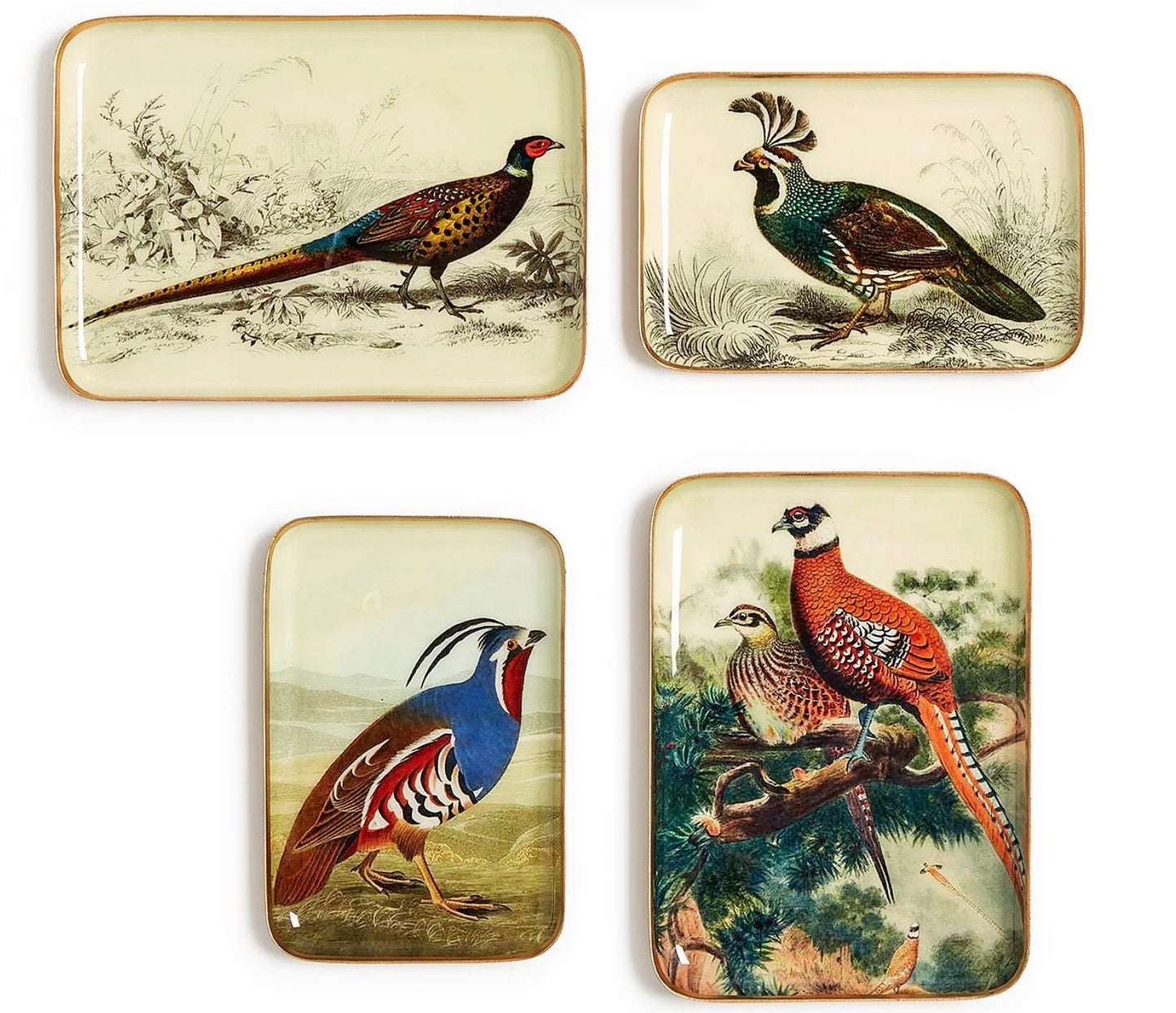 Set of four rectangular trays with detailed bird illustrations amid foliage and grass; available in multiple sizes; metal construction.