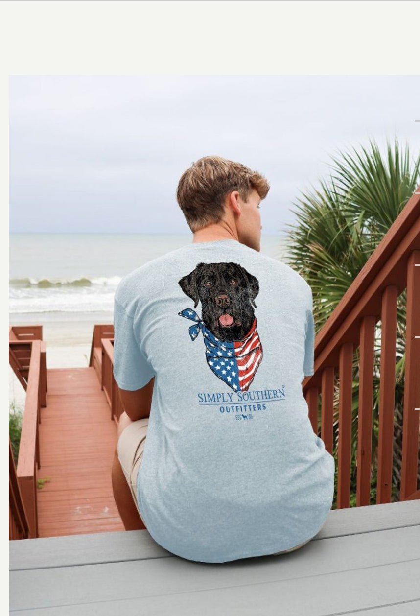 Man sitting on wooden stairs leading to a beach, wearing a short sleeve shirt with a graphic of a Dog USA Tshirt. He is looking out towards the sea.
