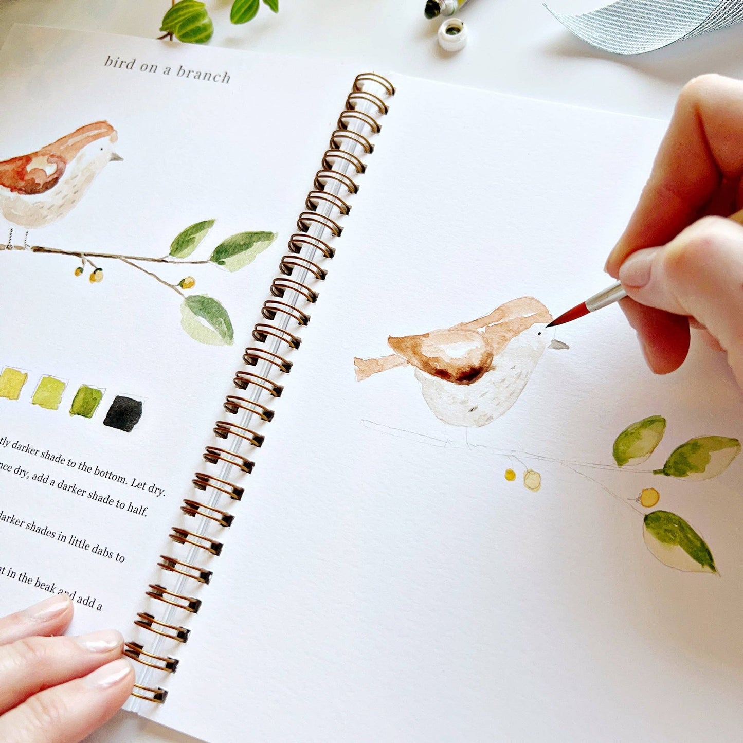 The Animals Watercolor Workbook: spiral-bound, beginner tutorials, color swatches; sizes available: 8"x10" and 9"x12".
