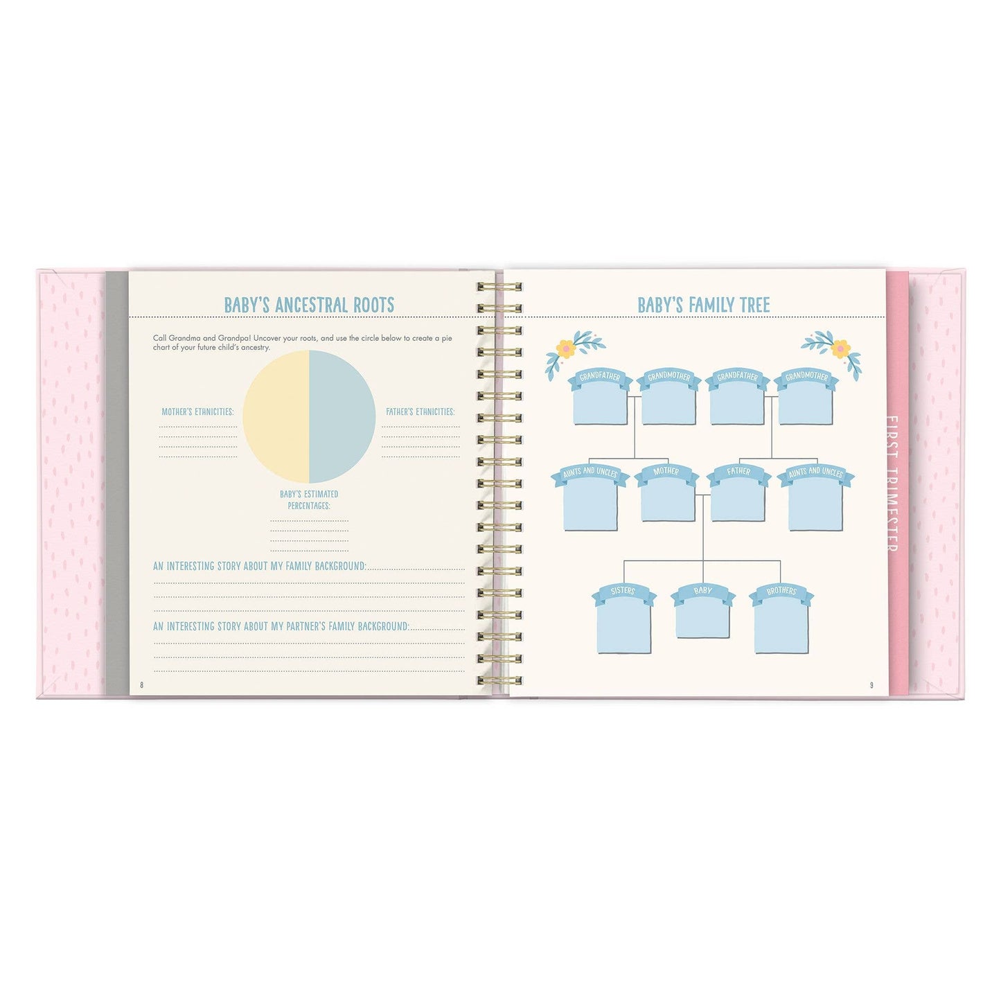 Bump for Joy: A Pregnancy Journal (Pink), includes pages for family history; available in standard size.