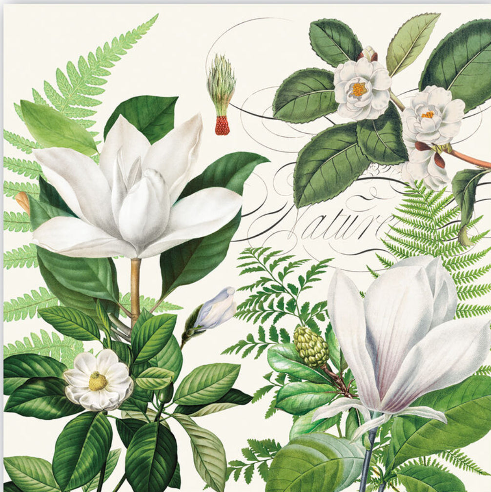 Magnolia Petals Luncheon Napkins, 6.5"x6.5", feature white magnolias, ferns, detailed leaves, and "Nature" in script.