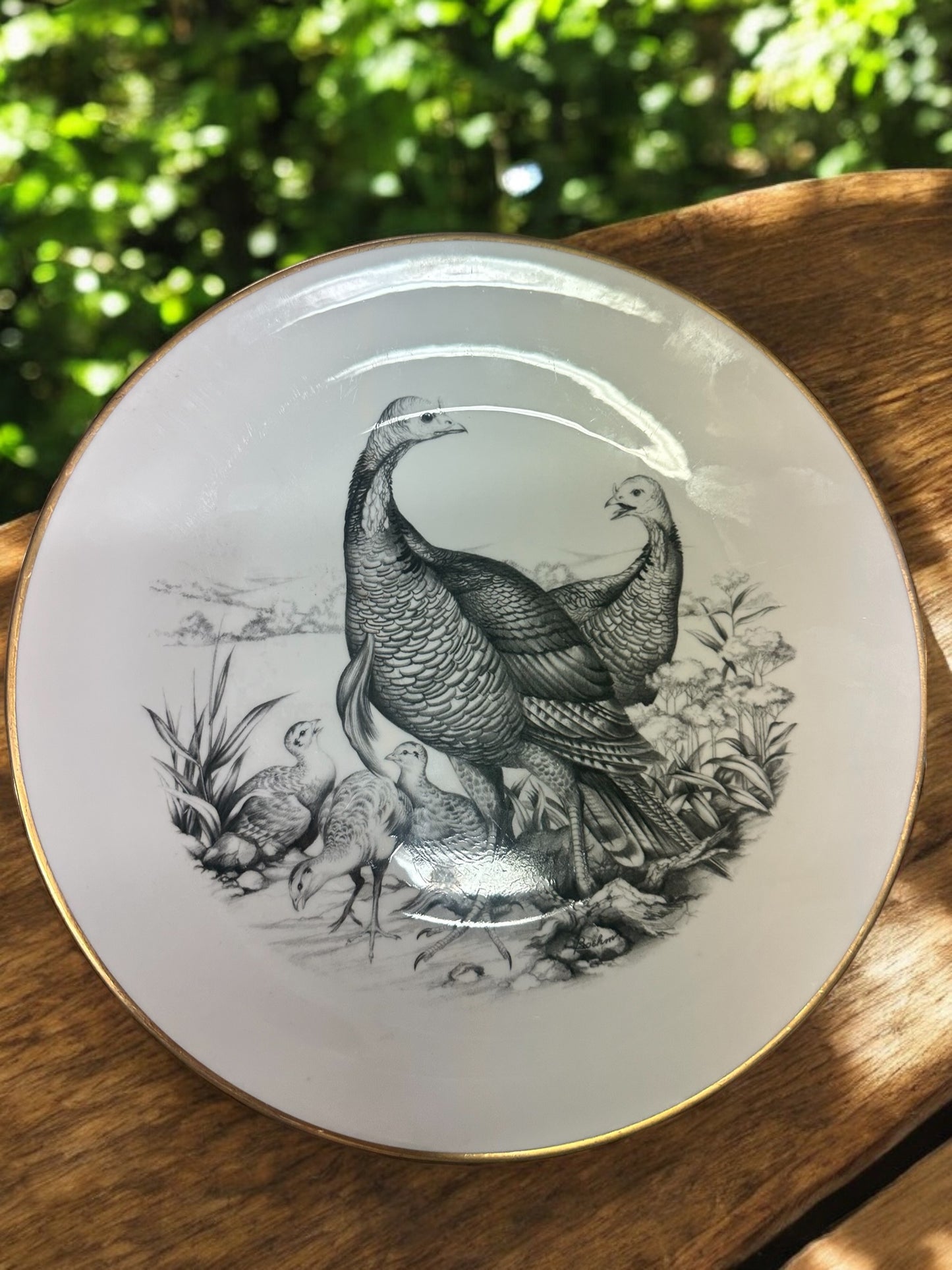 The Game Bird Series Wild Turkey Plate shows two adult and three chick turkeys among plants. Available in multiple sizes.