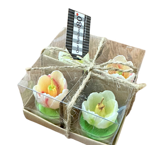 Set of 4 Sculpted Tulip T-Lights in brown box with twine and clear lid. Tag reads "One Hundred & 80°." Sizes: not listed.