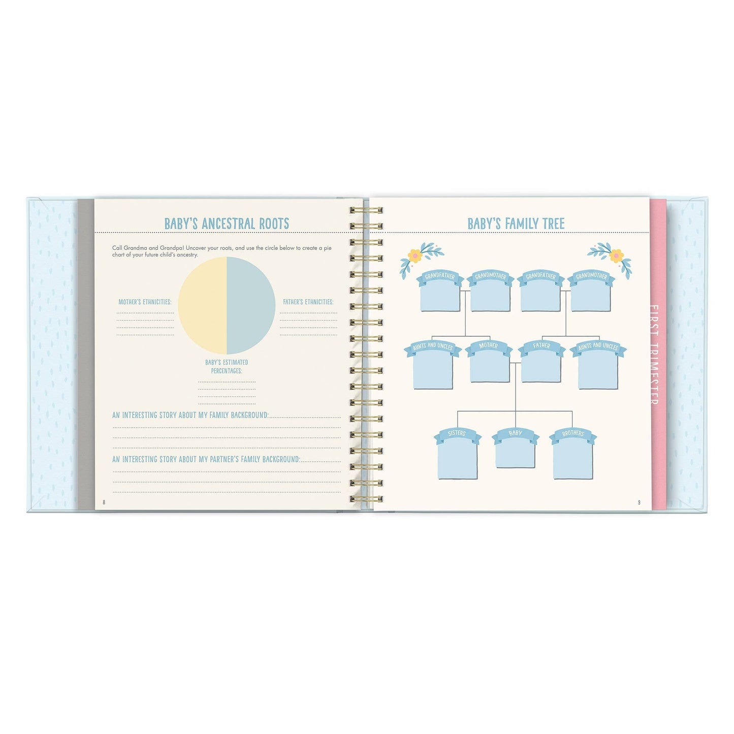 Open Bump for Joy: A Pregnancy Journal (Blue), with pages for ancestry, traditions, blue family tree; size: 8"x8".