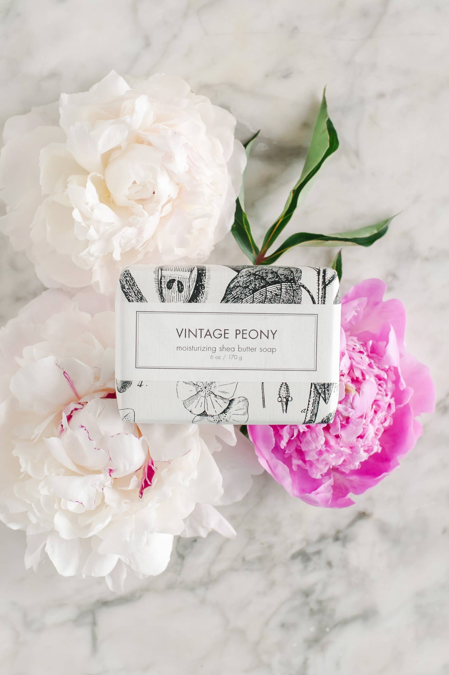 This Vintage Peony Soap is a bath bar presented in beautiful floral paper wrapping. It carries the delicate scent of lush white and pink peony flowers. The soap has been crafted to capture the aesthetic of a vintage era, resting against an elegantly polished marble surface. The product is available in standard soap bar size.