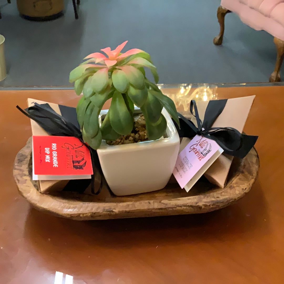 Small green succulent in a white pot available in mini and small sizes.
