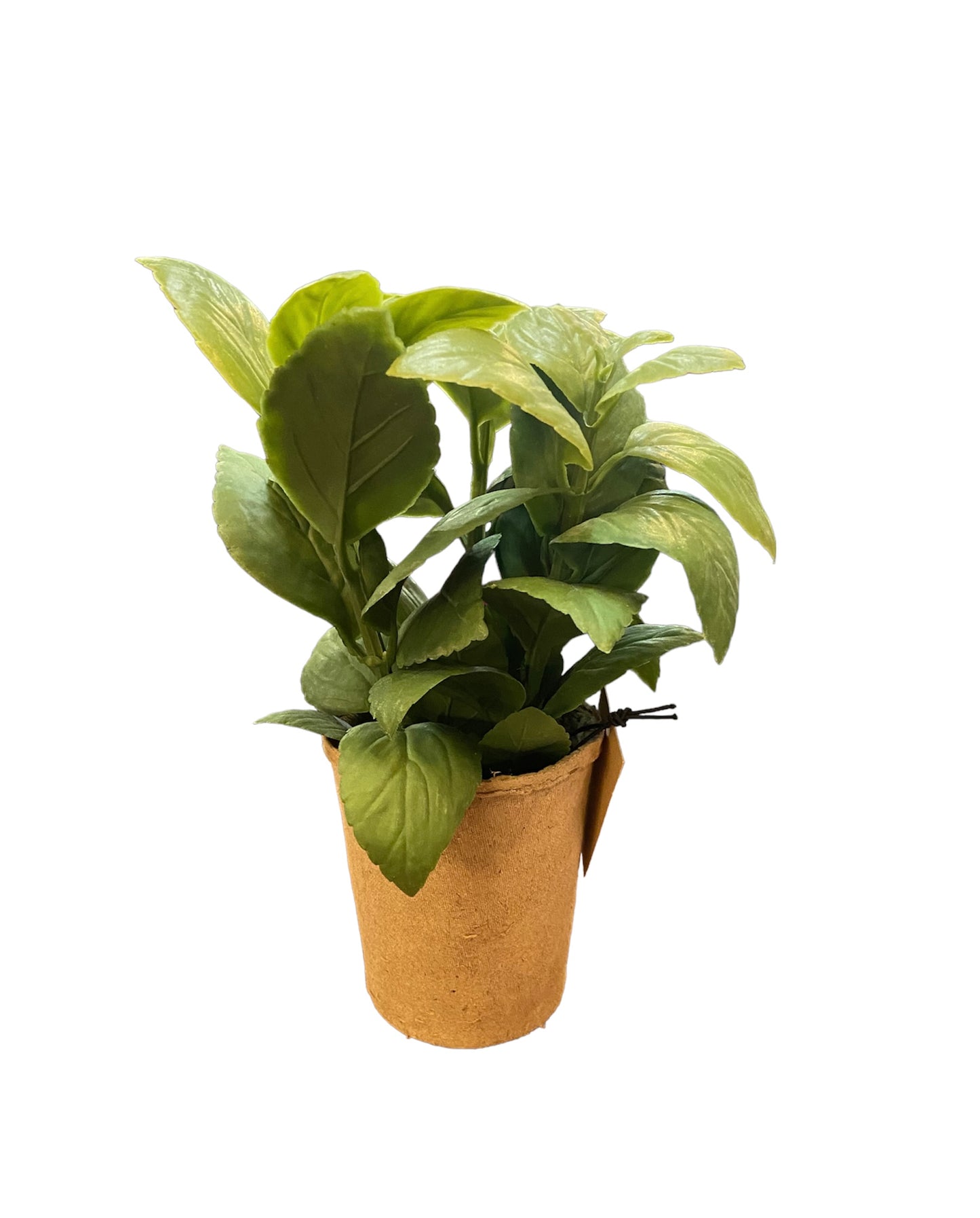 Faux Herb in Paper Pot