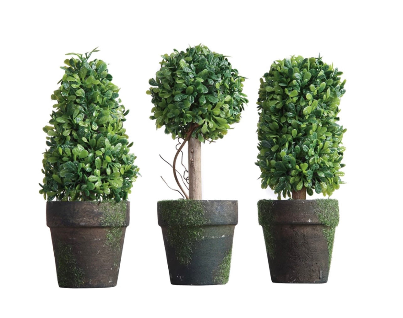 Set of three faux topiaries—conical, round, oval—in aged pots with moss. Sizes: small, medium, large.