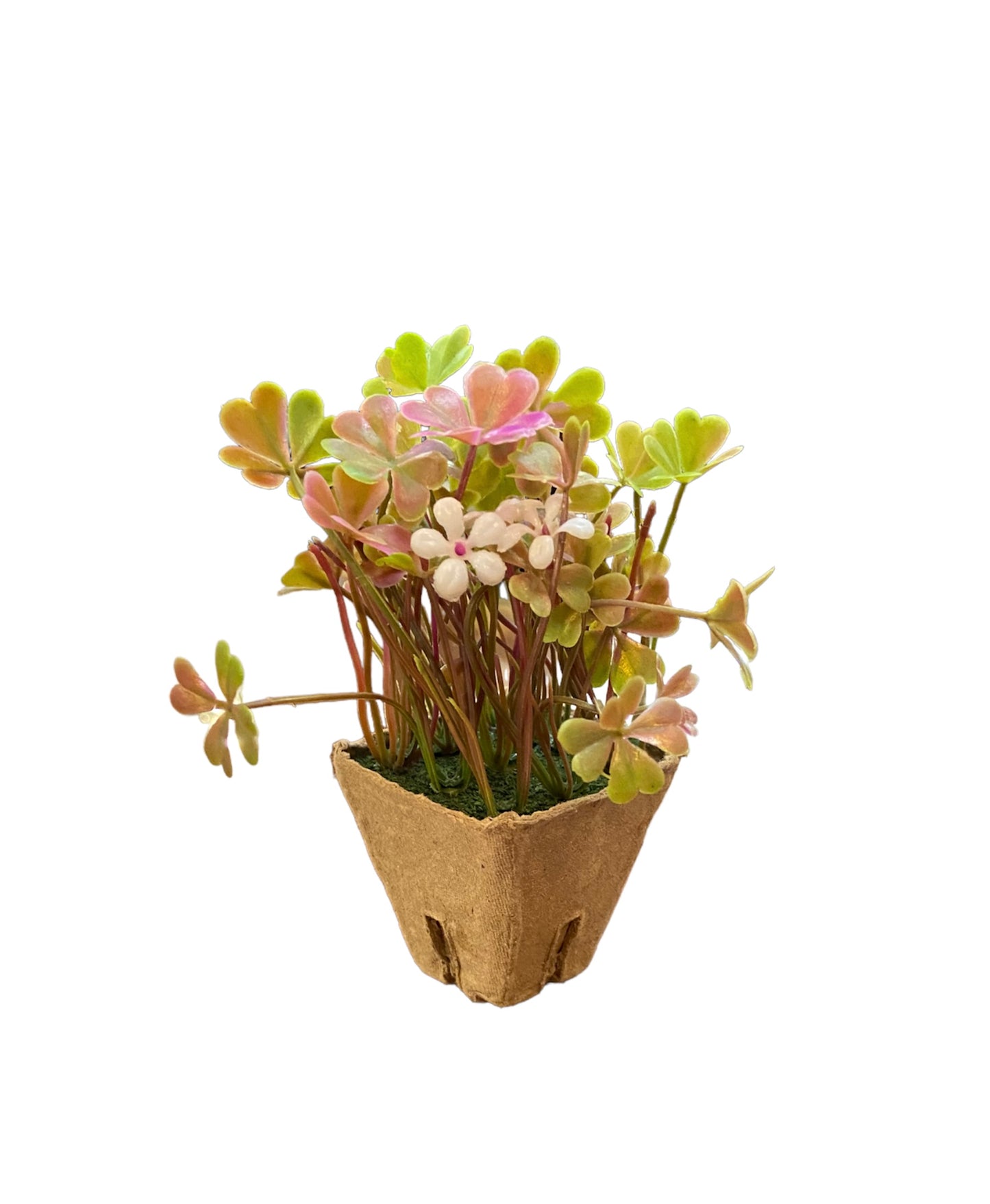 Faux Plant with green and pink clover-shaped leaves in a brown biodegradable paper pot. Sizes available: small, medium, large.
