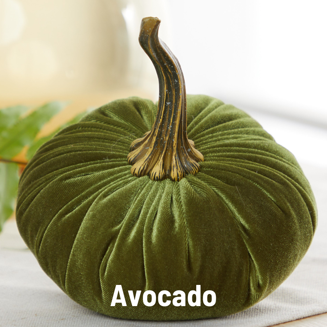 Fern-green velvet pumpkin with a soft brown stem, available in large size. “Fern” written in white at the bottom.