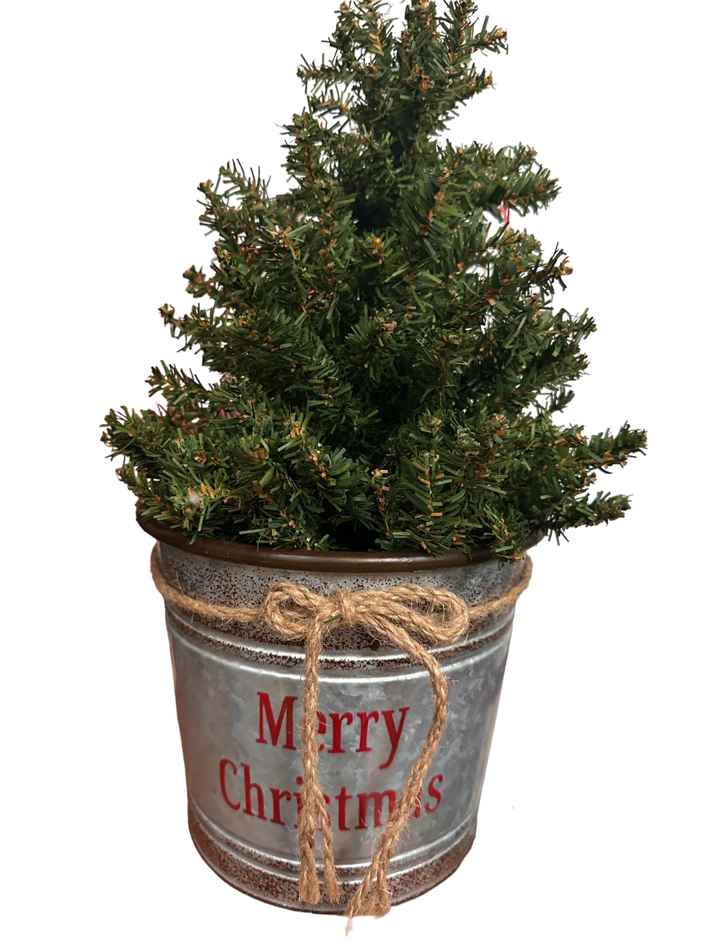 Bucket with Christmas Tree