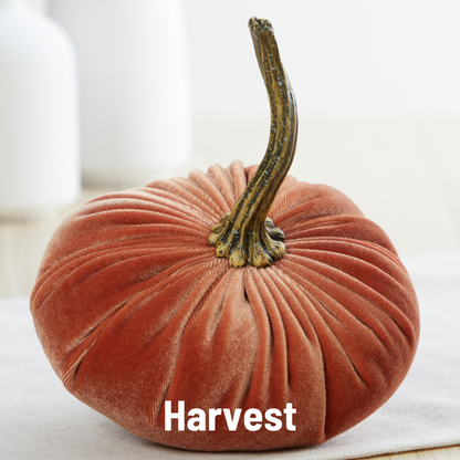 Burnt orange velvet pumpkin with a long stem and “Harvest” in white at the base. Available in multiple sizes.