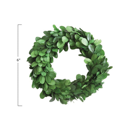 6” Round Preserved Boxwood Wreath with small green leaves, 6 inches in diameter.