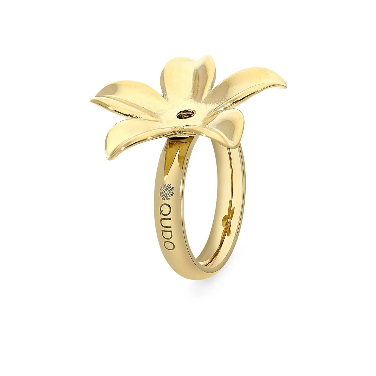 Interchangeable Basic Ring Pescia | QUDO