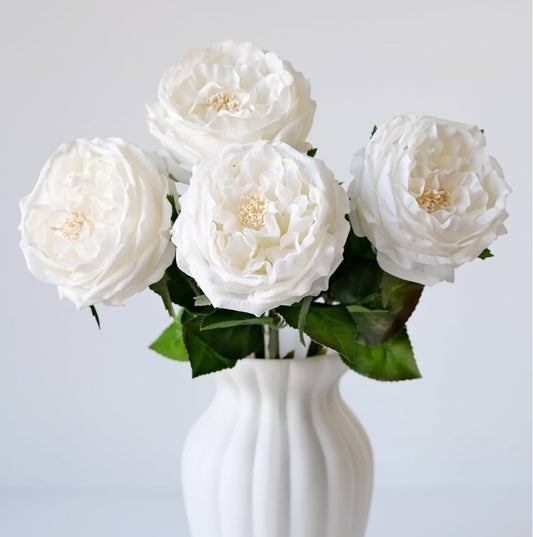 17.7-inch white vase with five high-quality Long Stem Peonies, fully bloomed with delicate petals and green leaves.