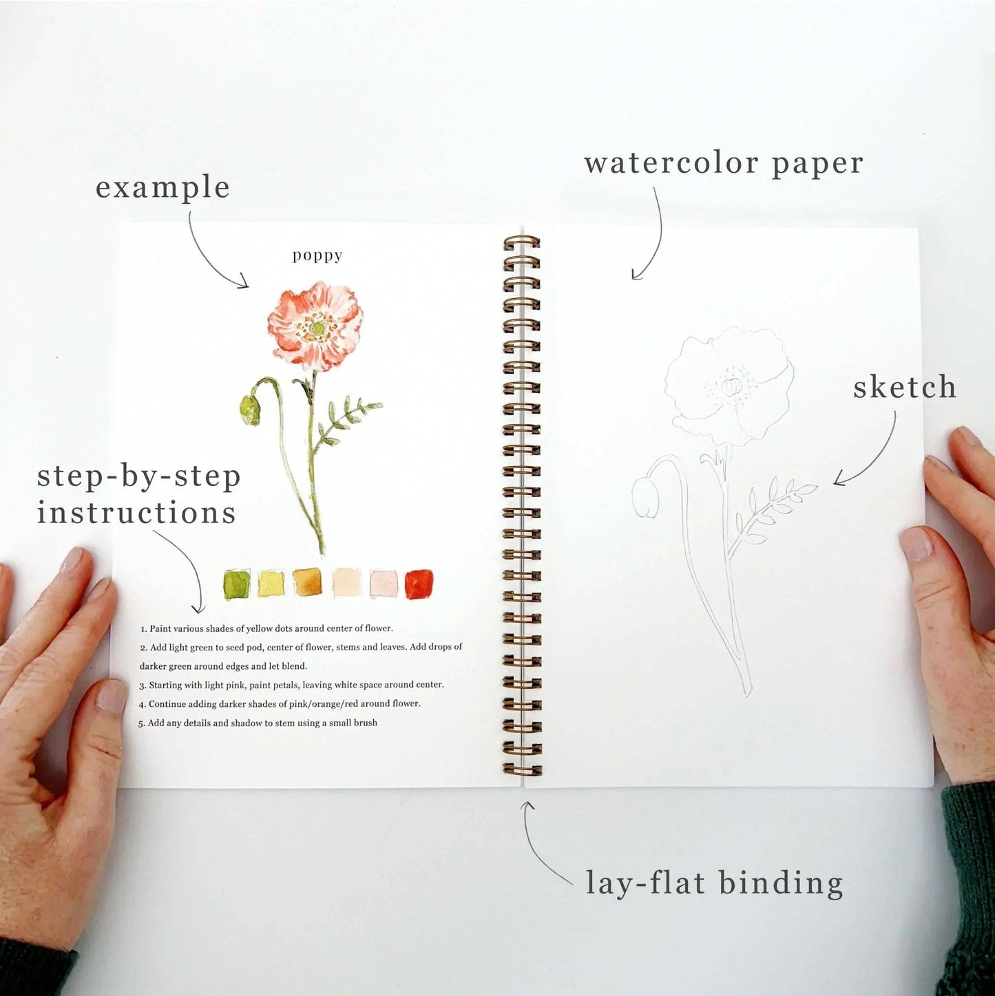 The Flowers Watercolor Workbook features poppy art, sketch outlines, painting guides, and thick watercolor paper. Size options available.