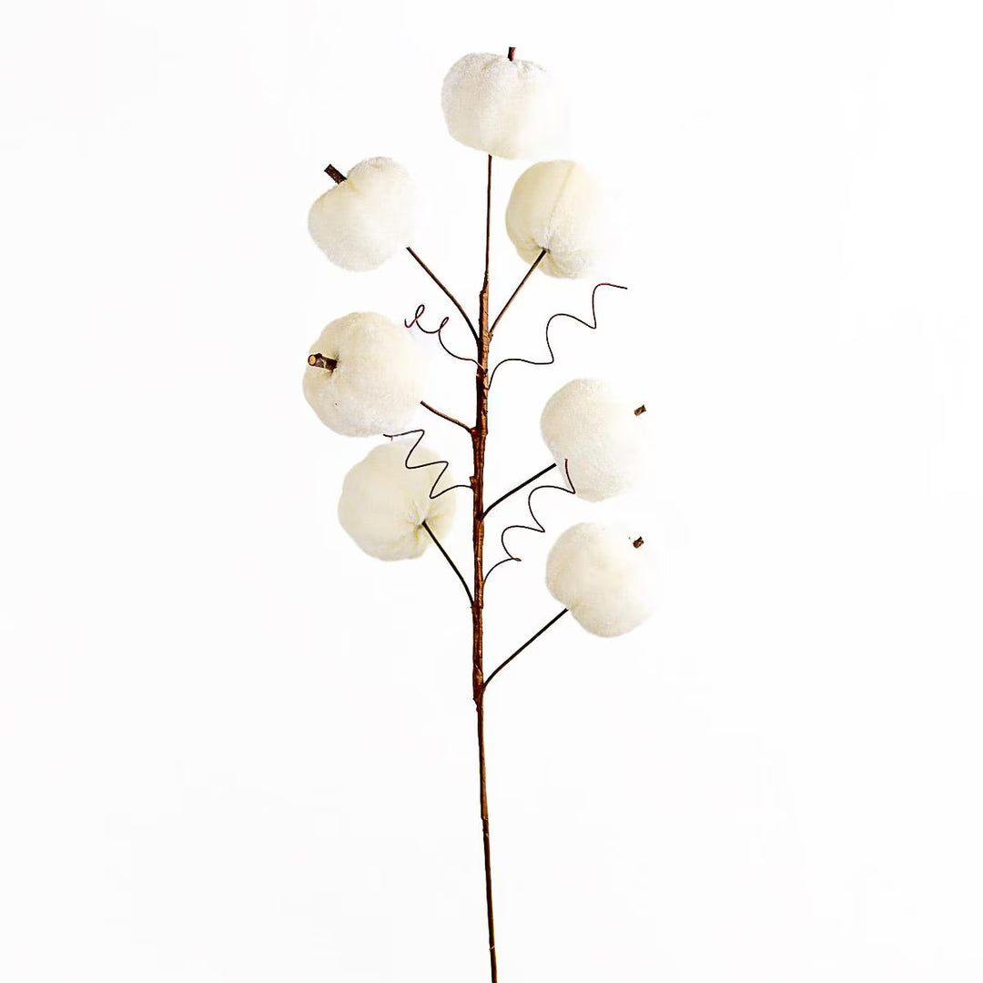 Brown cotton stem with multiple white cotton bolls and curly wire tendrils; available sizes not specified.