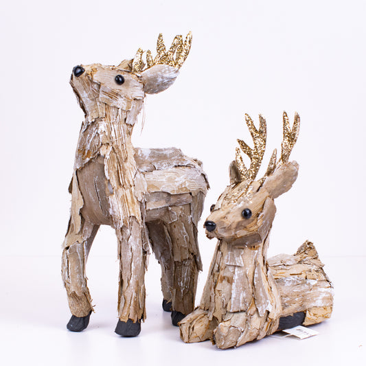 Ethan Deer