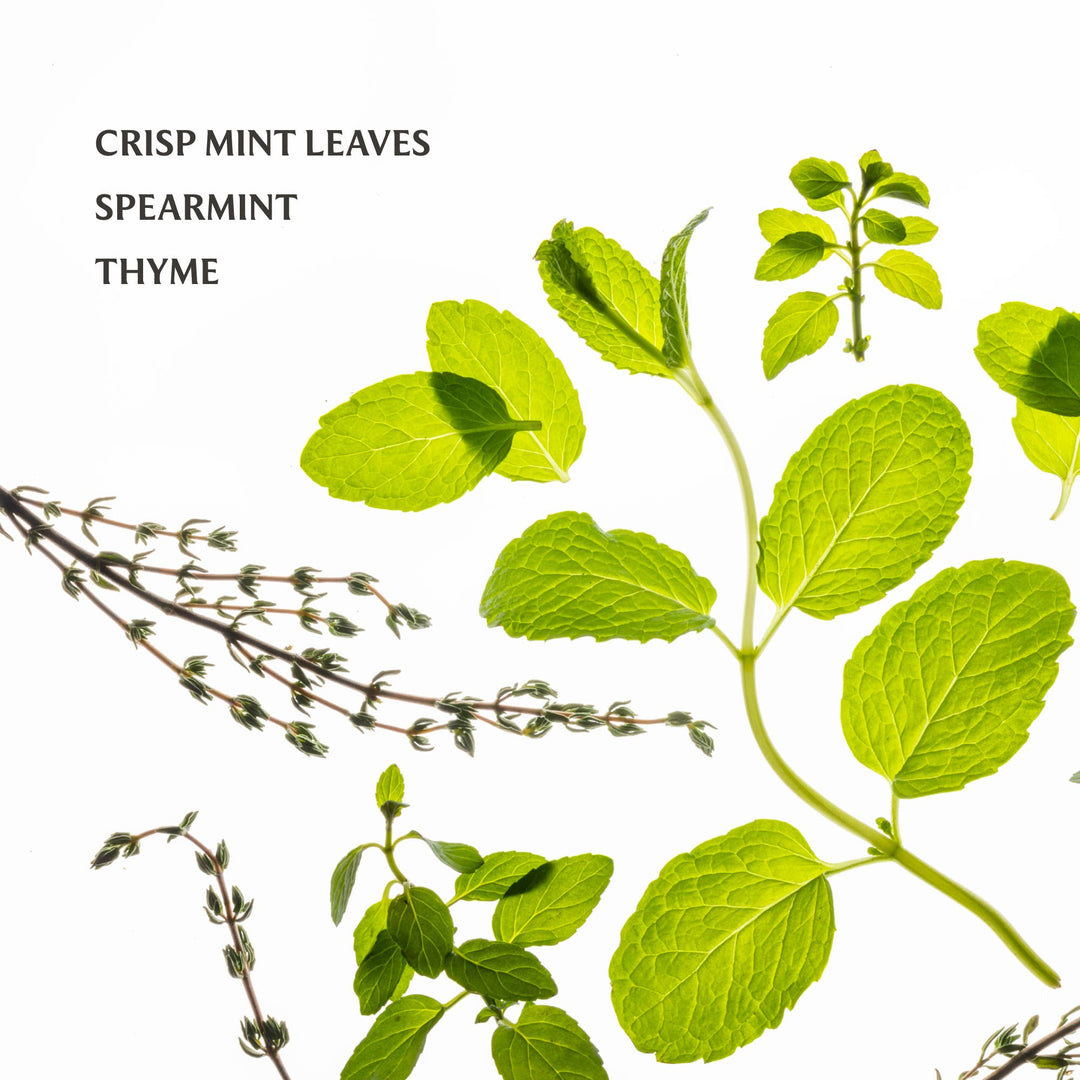 Frosted Mint Power Mist Hydrating Hand Sanitizer.