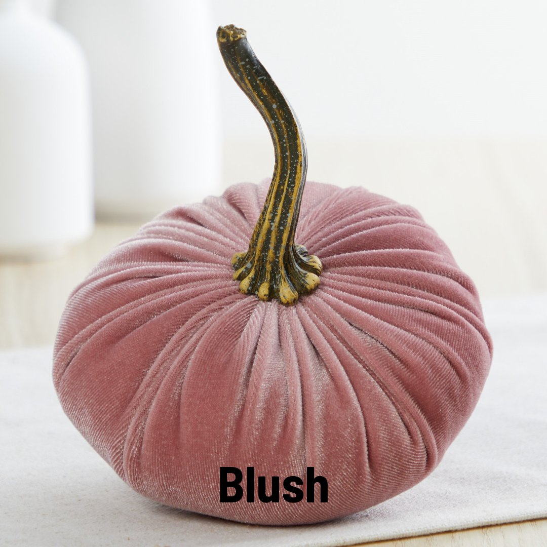 Soft blush pink velvet pumpkin with a long, curved stem. Available in multiple sizes. “Blush” in bold black text at the bottom.