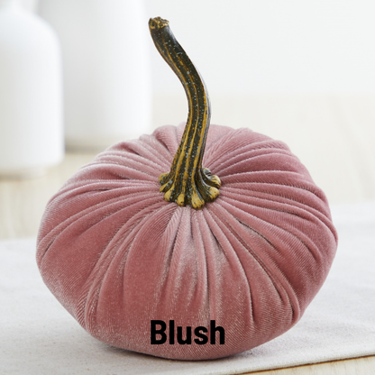 Soft blush pink velvet pumpkin with a long, curved stem. Available in multiple sizes. “Blush” in bold black text at the bottom.