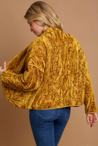 Fall Vintage Velvet Jacket