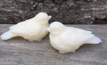 Two Sweet Birdy Guest Soap: Secret Garden bars, made with shea butter and sweet almond oil. Available in guest size.