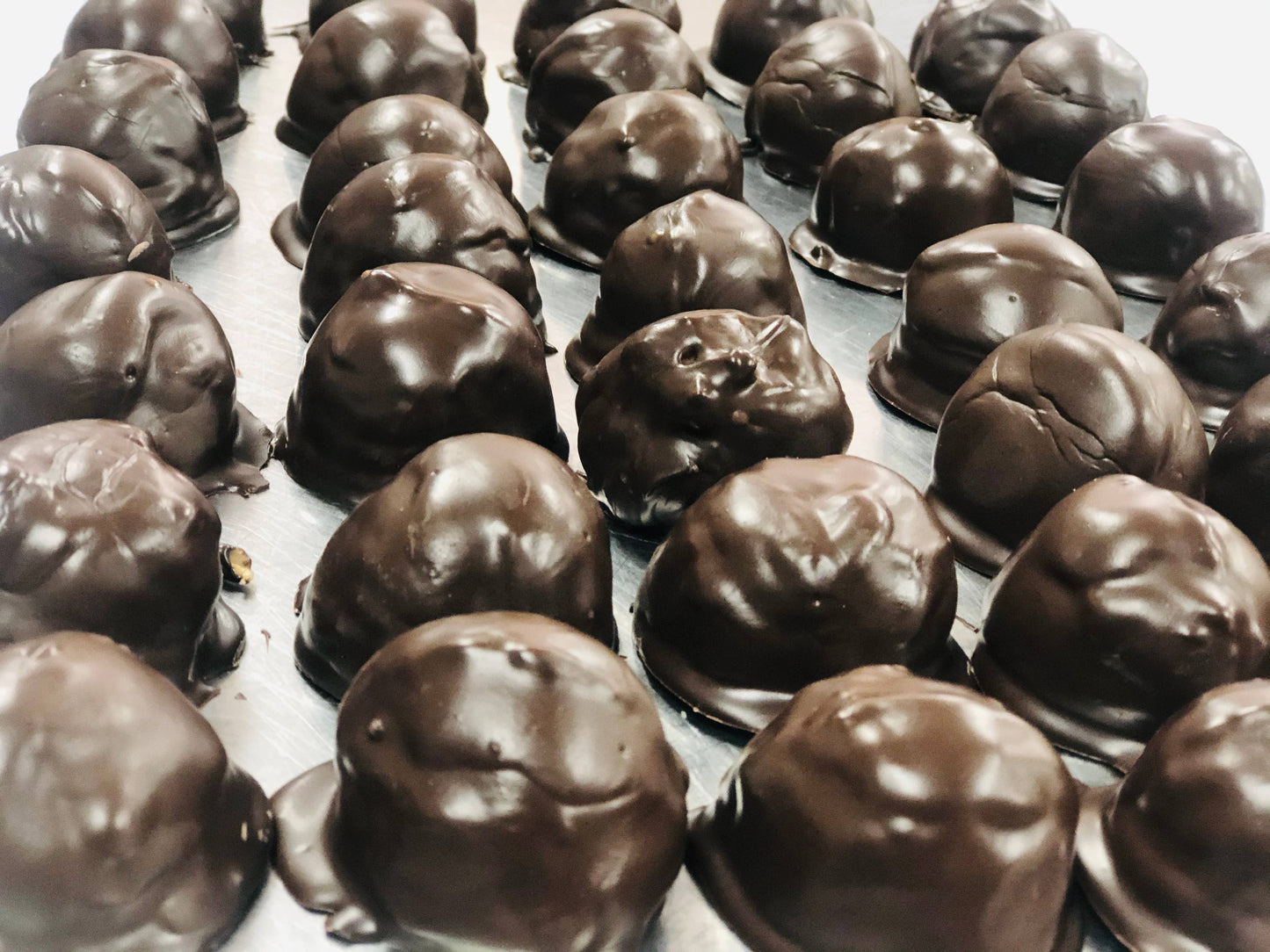 Buckeyes and Turtles Gifts Chocolate Gift Box