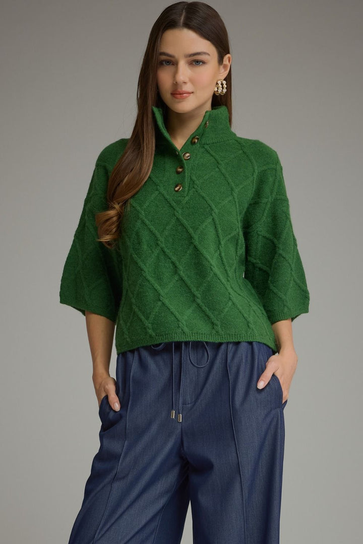 Green diamond textured sweater with stand collar, three buttons, and diamond-textured pattern. Sizes available.