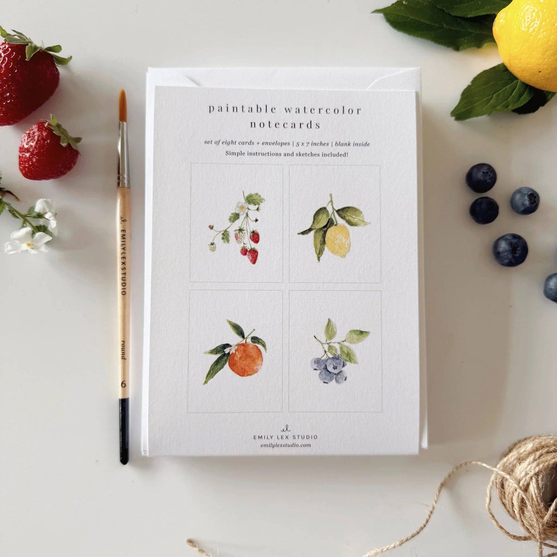 Fruit paintable watercolor notecard set includes evergreen notecards with fruit illustrations and a paintbrush. Features strawberries, blueberries, and a lemon design. Sizes available: standard notecard dimensions.