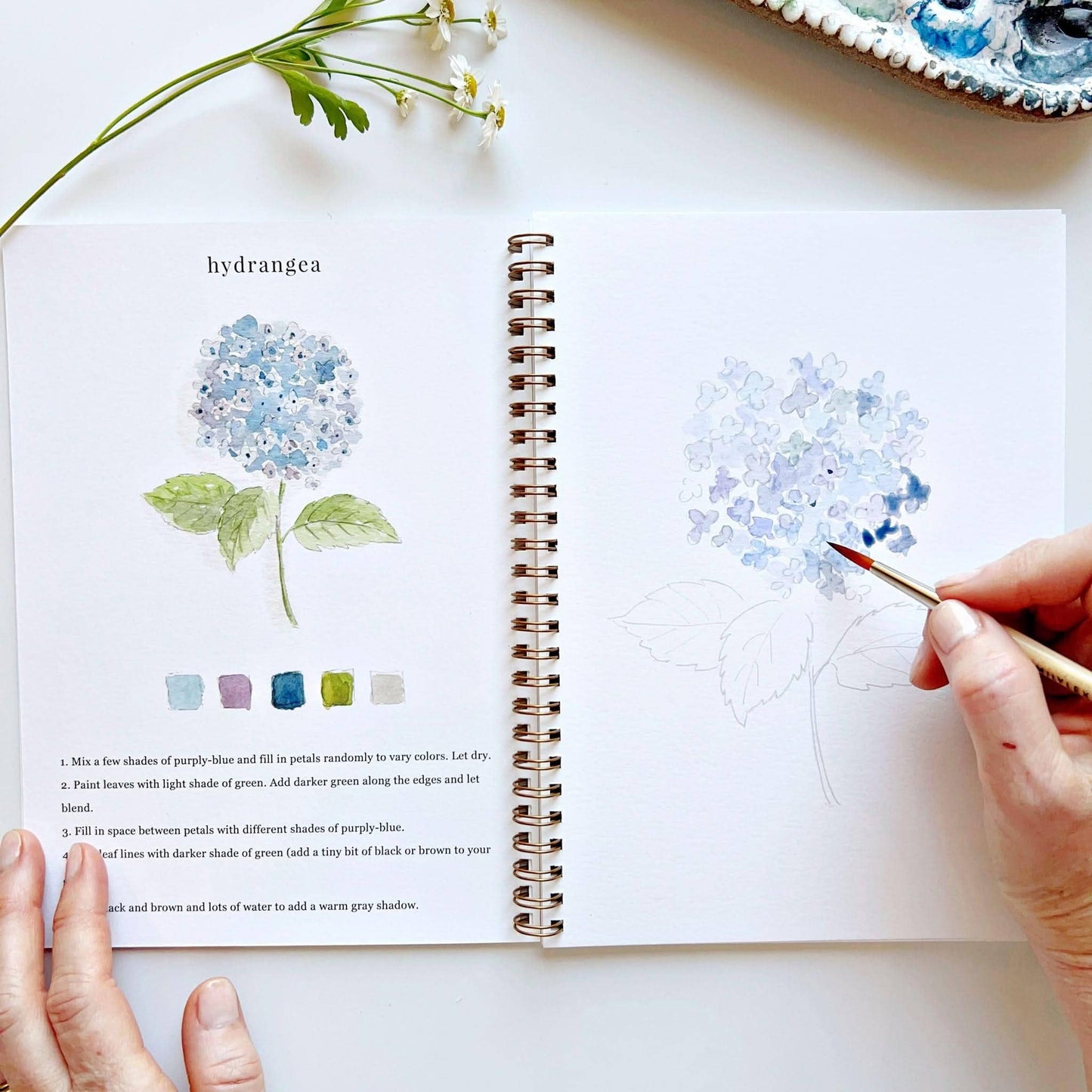 The Flowers Watercolor Workbook, spiral-bound, shows hydrangea painting instructions and color swatches. Sizes: standard only.