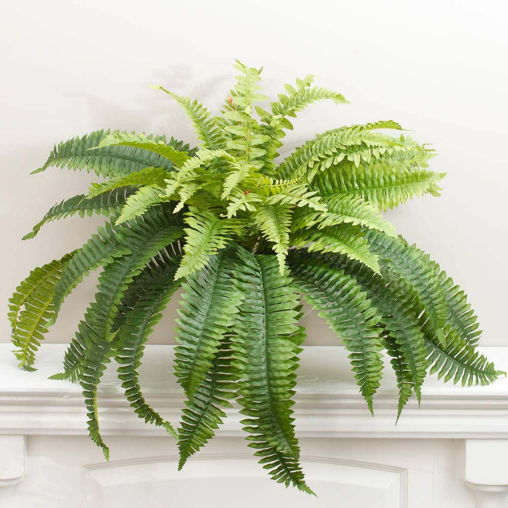 26″ Natural Look Artificial Boston Fern Bush with long, lush, lifelike green fronds. Size: 26″.