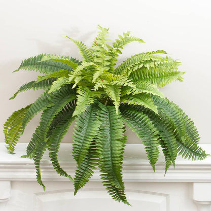 26″ Natural Look Artificial Boston Fern Bush with long, lush, lifelike green fronds. Size: 26″.