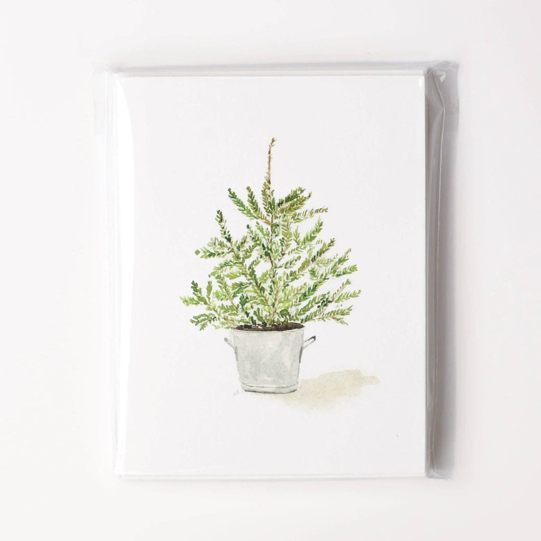 Evergreen Christmas assorted notecard featuring a drawing of a fern-like green plant in a small, light gray metal bucket; available sizes not specified; packaged in a clear plastic sleeve.