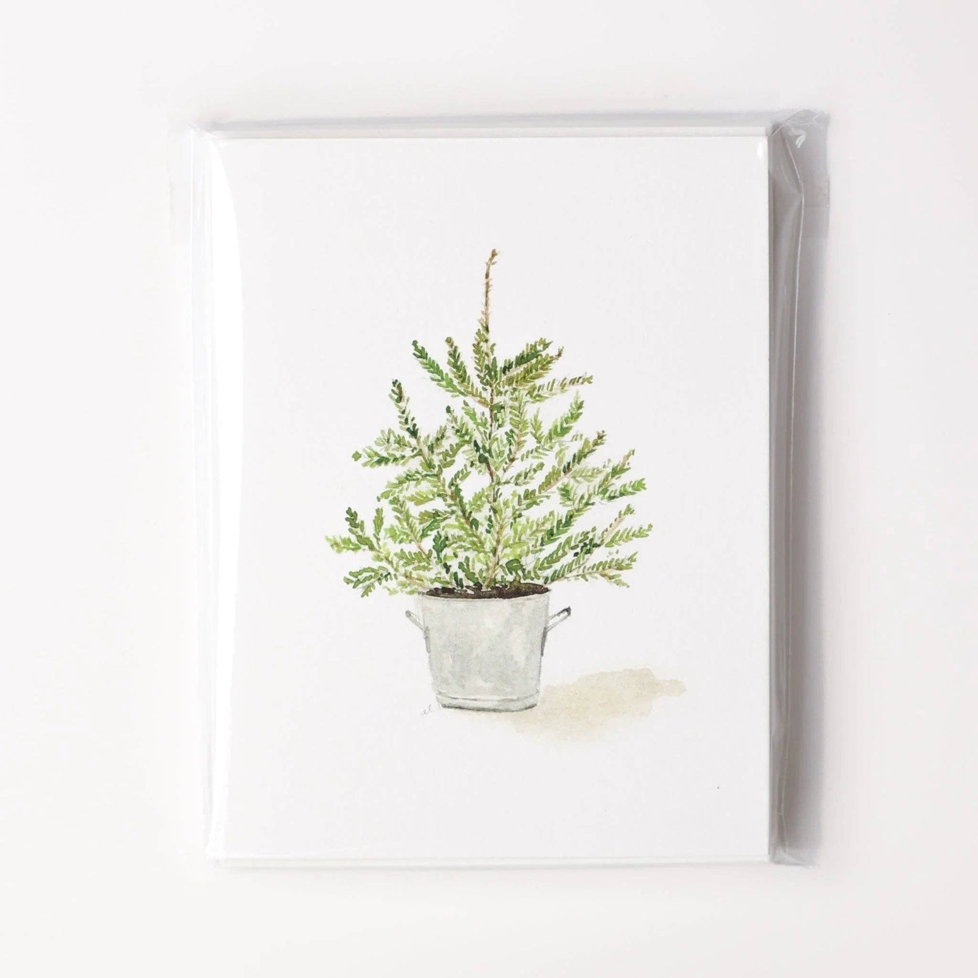 Evergreen Christmas assorted notecard featuring a drawing of a fern-like green plant in a small, light gray metal bucket; available sizes not specified; packaged in a clear plastic sleeve.