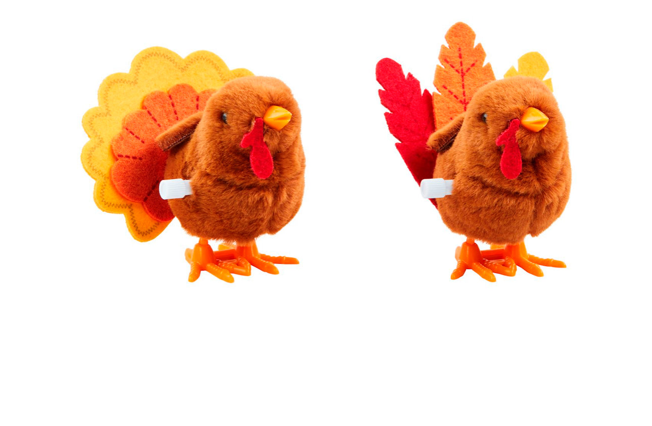 Turkey Wind Up Toy