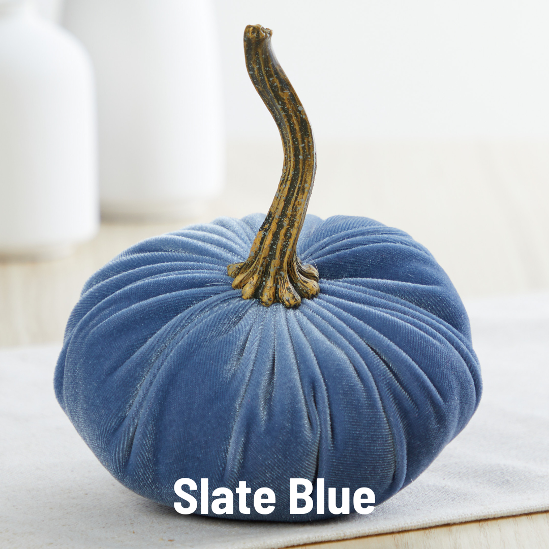 Slate blue velvet pumpkin with brown stem. Available in various sizes.