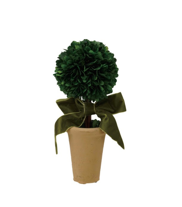 Spherical dried boxwood tree with a green velvet bow in a tan terra-cotta pot.