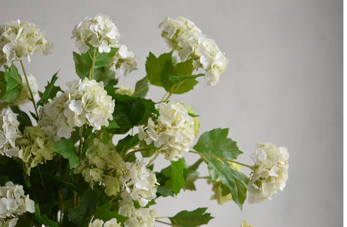 Bouquet of white hydrangea flowers with green leaves, resembling delicate snowballs in full bloom. 40" long with 5 blooms. Premium faux snowball hydrangea spray.