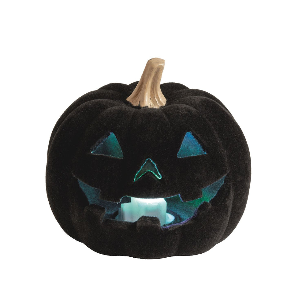 Black velvet Light-Up Flocked Jack-O-Lantern Decor with blue LED triangular eyes and nose, jagged smile, brown stem; available in multiple sizes.