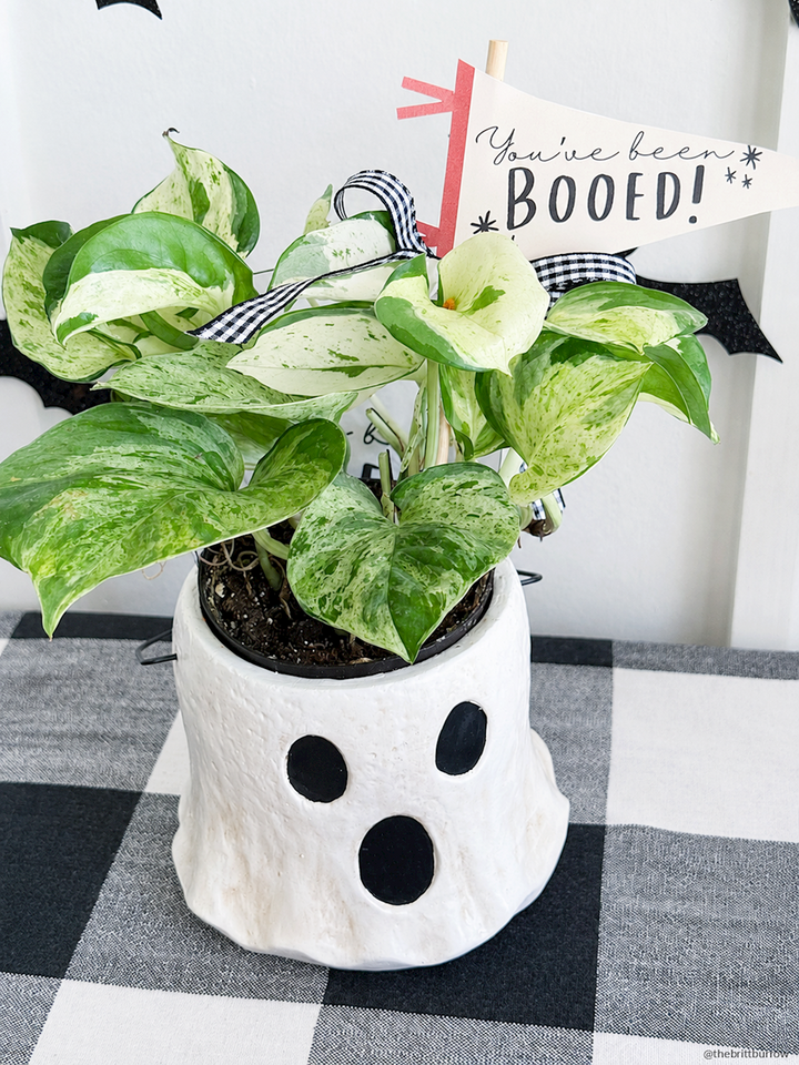 Mini Halloween Treat Bucket, hand-painted as a white ghost with black eyes and mouth, holds a green potted plant and a small flag reading “You’ve been BOOED!” Available in mini size.