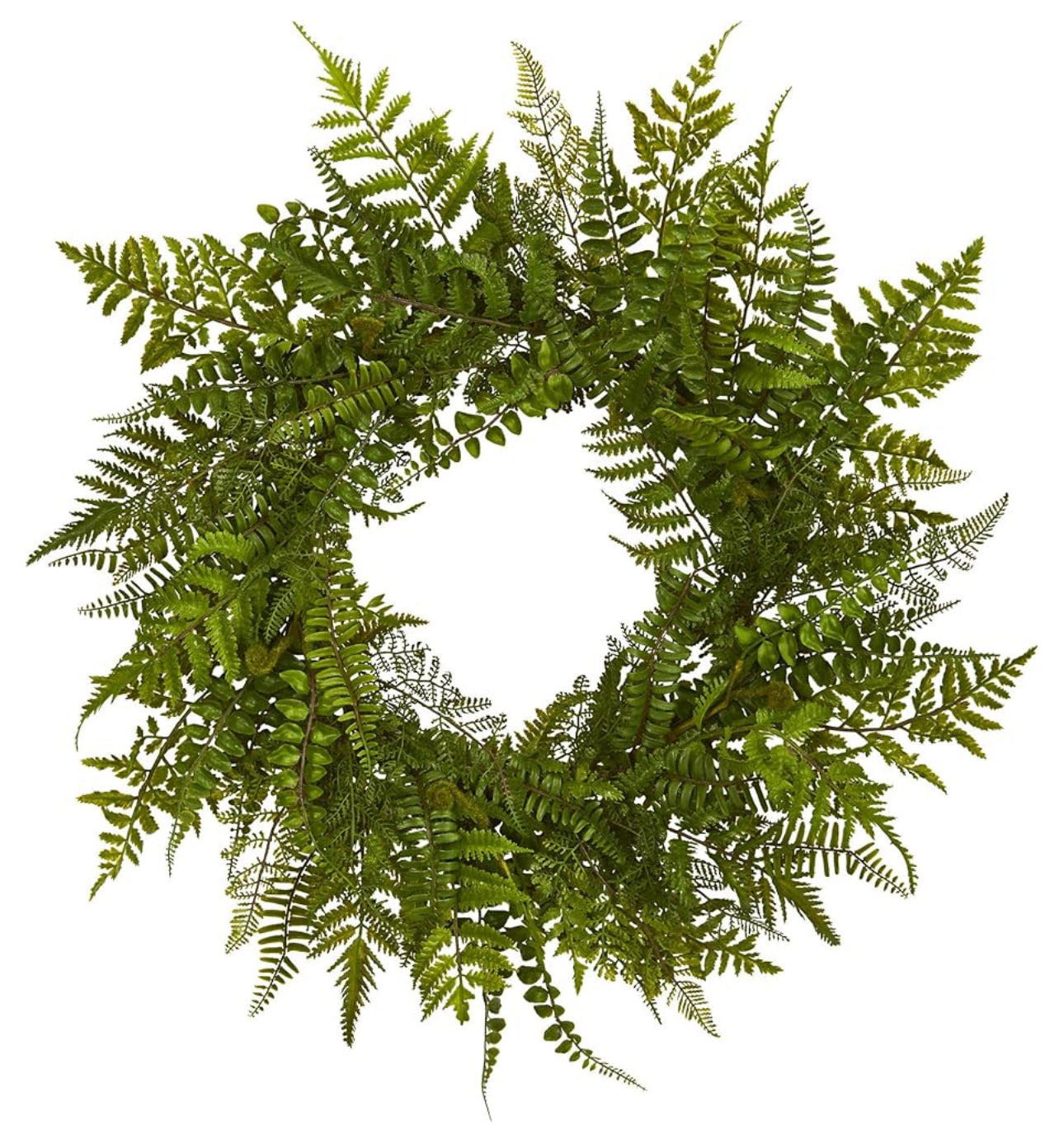 Fern 24 in Wreath