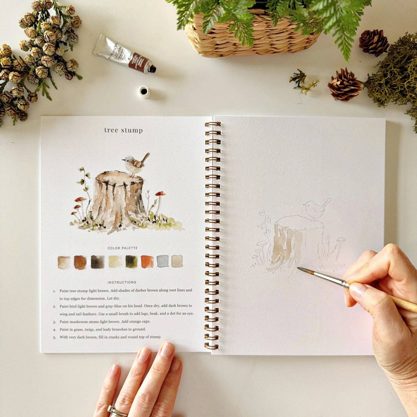 A hand sketches a tree stump with a bird in the Woodland Watercolor Workbook. The left page shows a painted stump, color palette, painting instructions, and pinecones. Available sizes for the workbook are not shown.