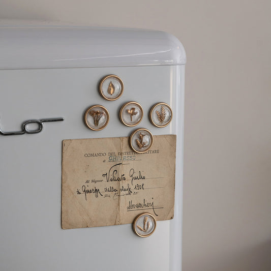 Six resin convex magnets with real dried flowers or plants inside; available in small, medium, and large sizes.