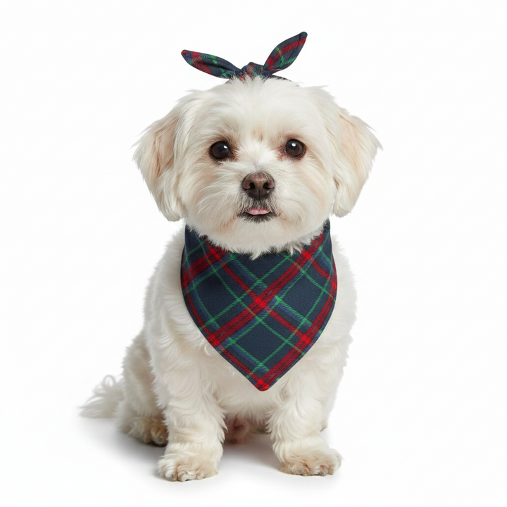 Layton Plaid Dog Bandana in dark green, red, and blue. Available in sizes small, medium, and large.