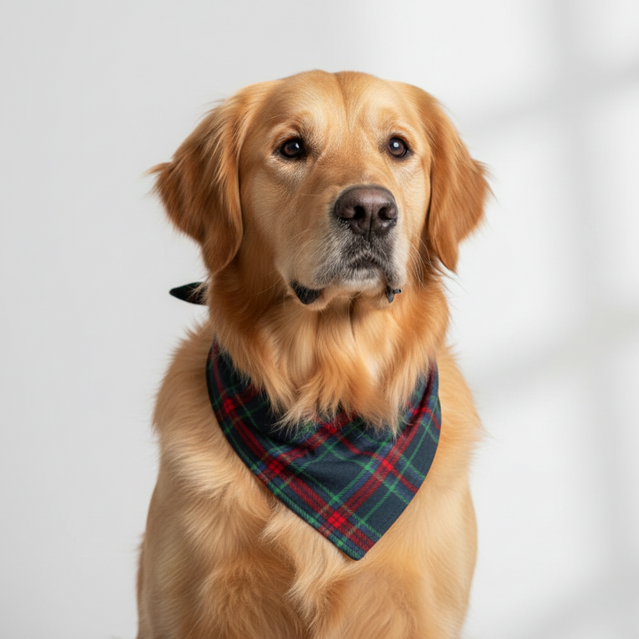 Durable navy, red, and green Layton Plaid Dog Bandana.